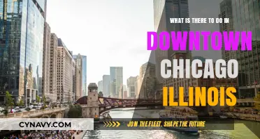 Exploring Downtown Chicago: Top Attractions, Activities, and Hidden Gems