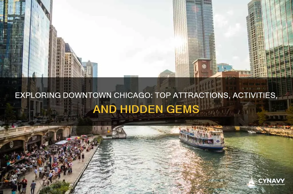 what is there to do in downtown chicago illinois