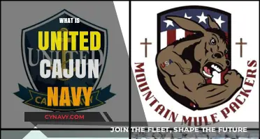 Exploring the United Cajun Navy: A Community's Resilience and Resourcefulness