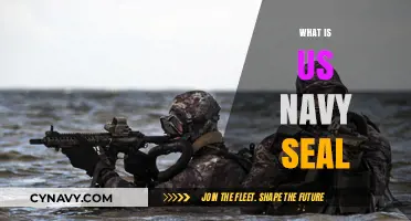 Unveiling the Elite: Inside the World of US Navy SEALs