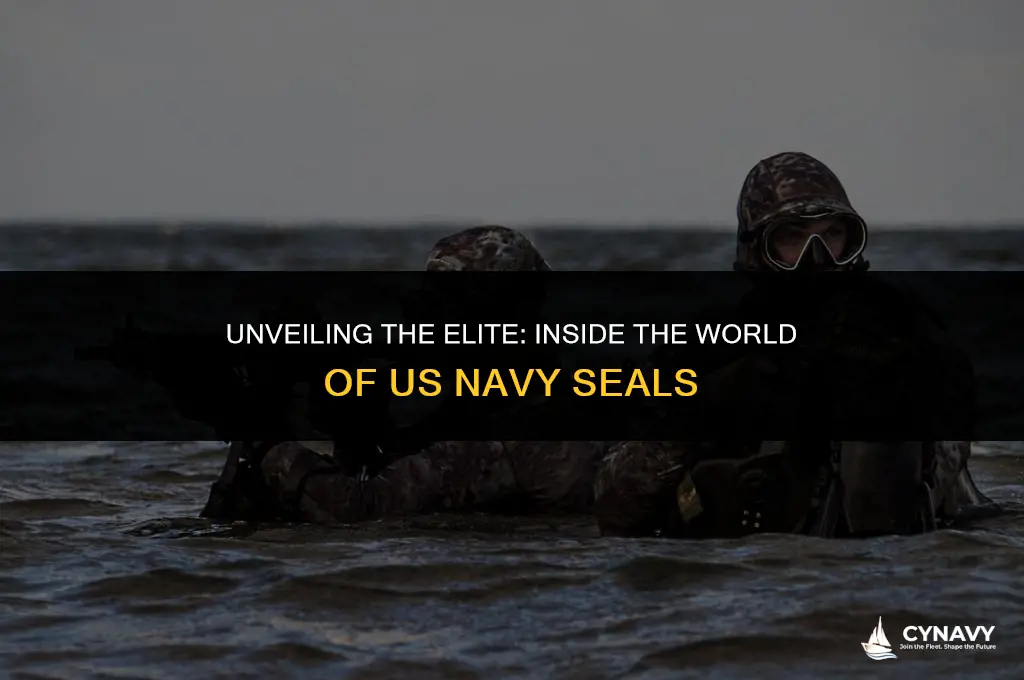 what is us navy seal