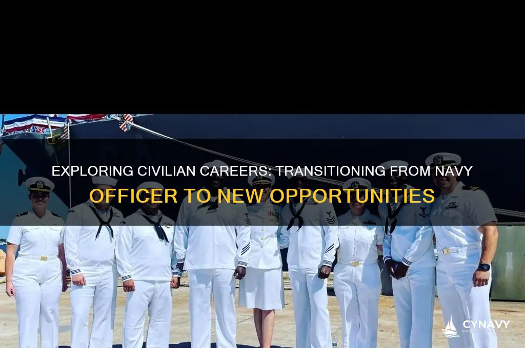 what job get out of the navy officer