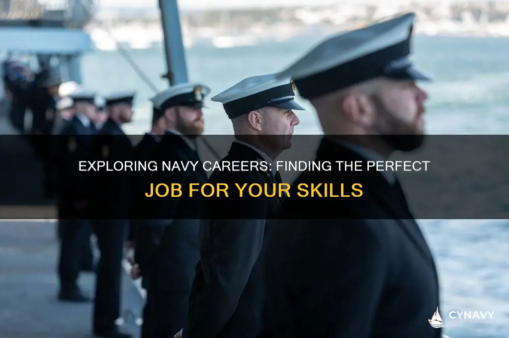 what job should i get in the navy