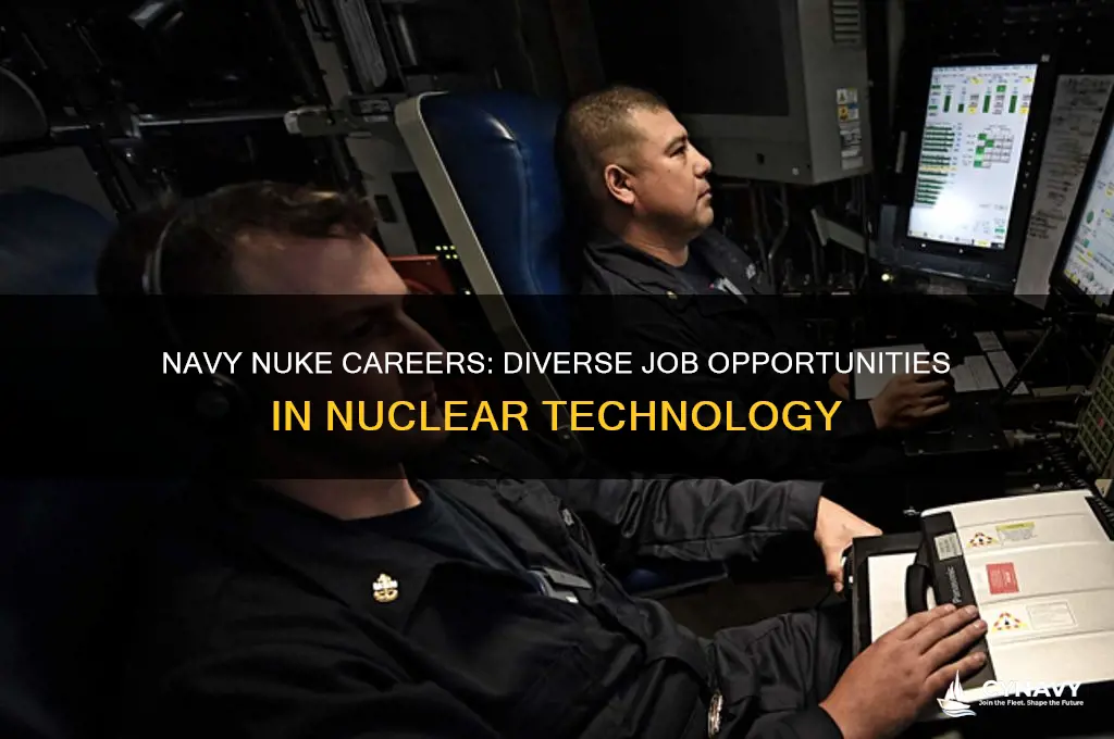 what jobs can get as a nuke in the navy