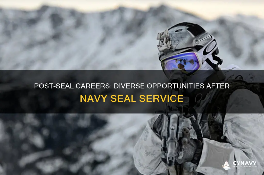 what jobs can you get after being a navy seal