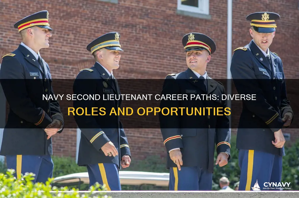 what jobs could a second leutentant get in the navy