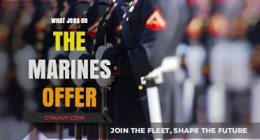 Exploring Career Opportunities in the Marines: A Comprehensive Guide