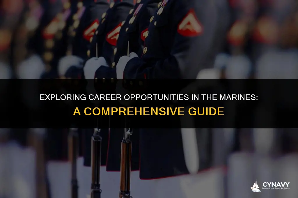 what jobs do the marines offer