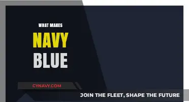 Unveiling the Depths: What Makes Navy Blue a Timeless Classic