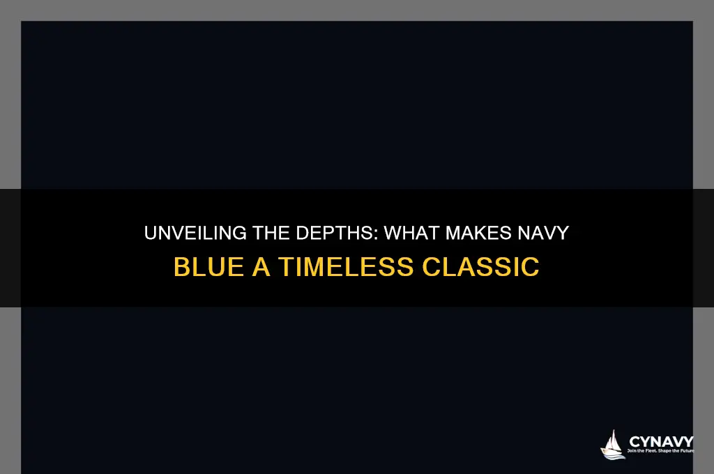 what makes navy blue