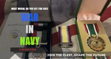 Navy Gulf War Service Medals: Honors and Recognition Explained
