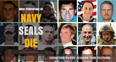 Behind the Valor: Understanding the Risks Navy SEALs Face