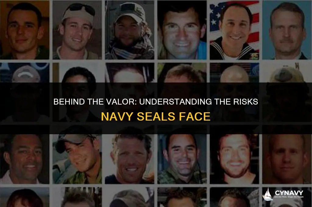 what percentage of navy seals die