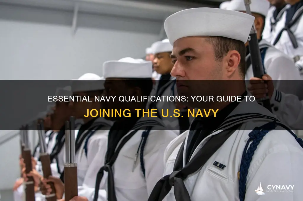 what qualifications do i need to get in the navy