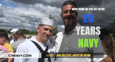Navy Career Milestones: Typical Rank After Two Decades of Service