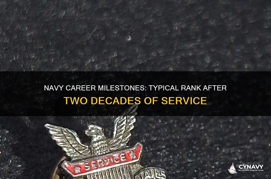 what rank do you get after 20 years navy