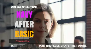 Understanding Navy Ranks: What to Expect After Completing Basic Training