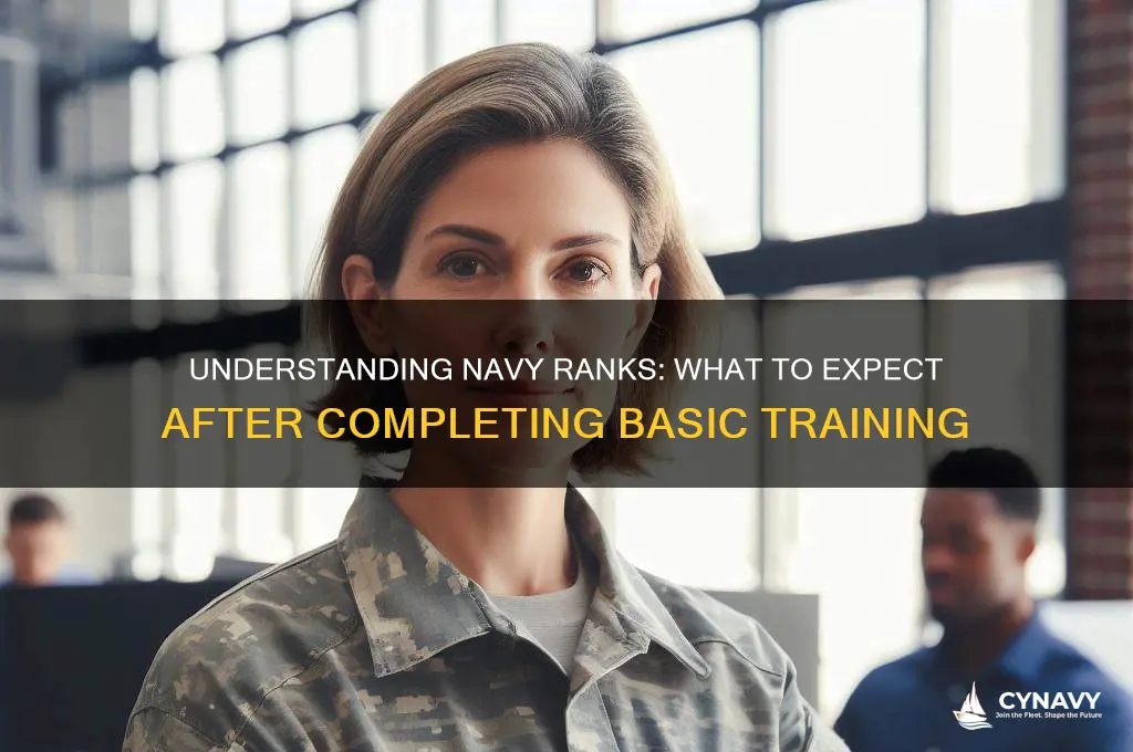 what rank do you get in the navy after basic