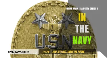 Understanding the Petty Officer Rank in the Navy Hierarchy