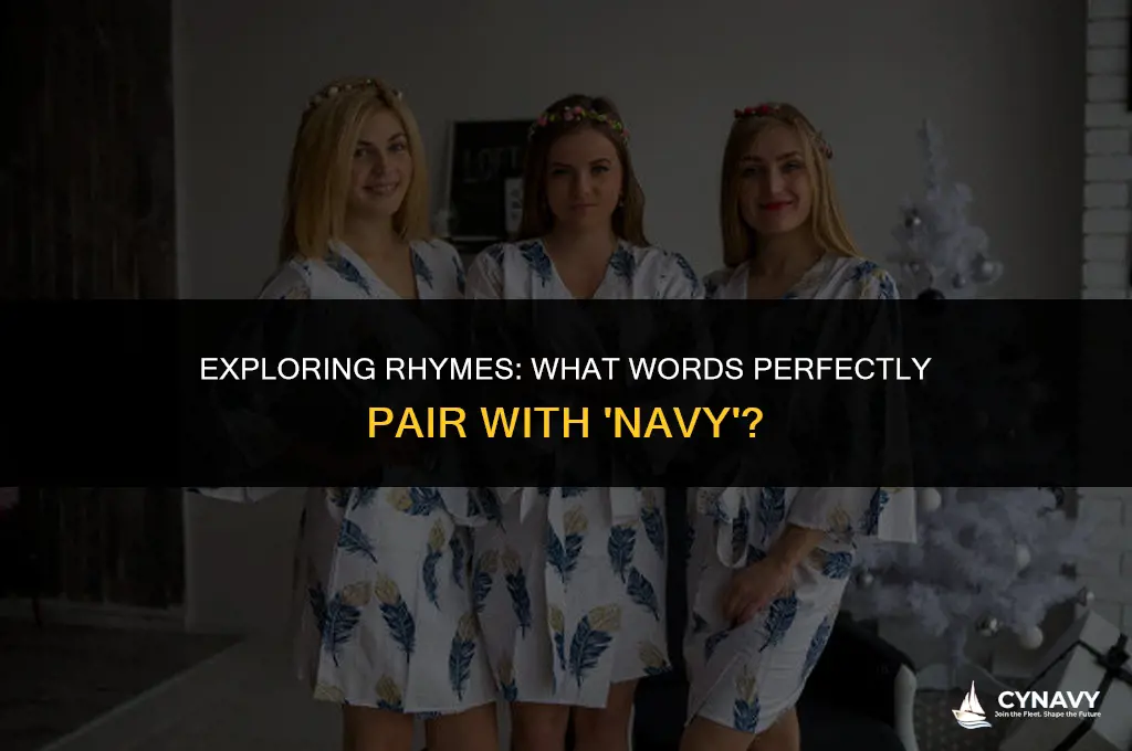 what rhymes with navy