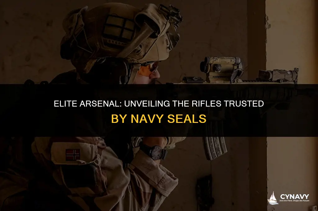 what rifles do navy seals use