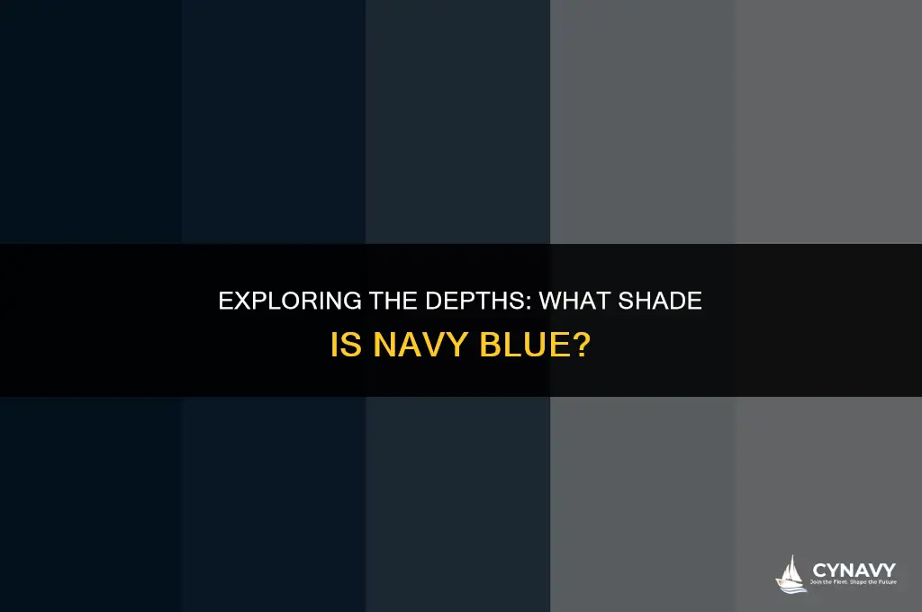 what shade is navy blue