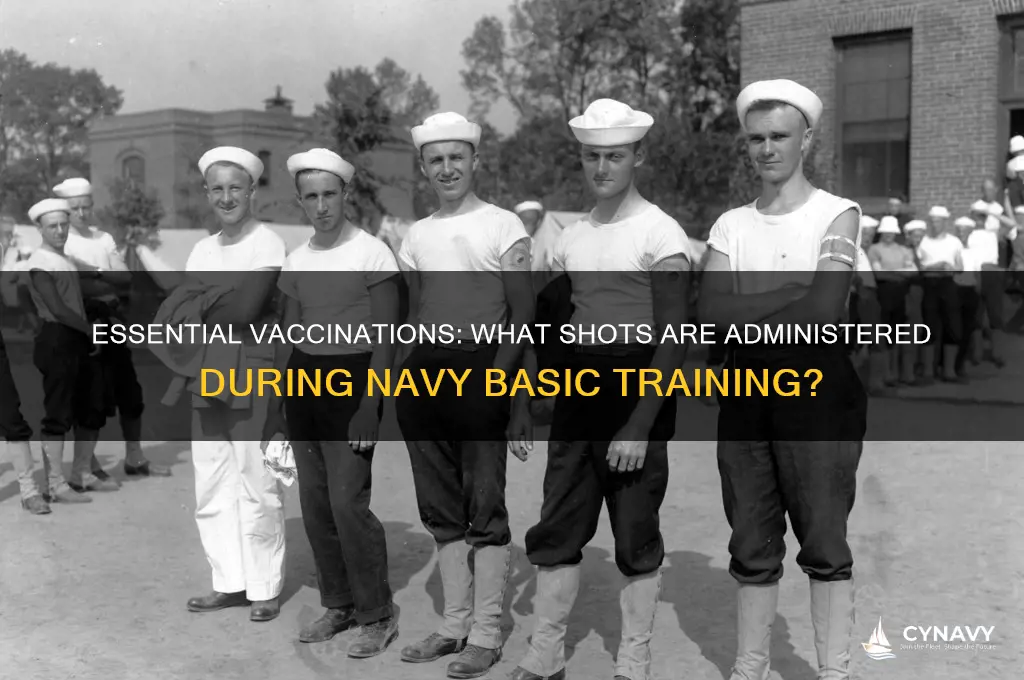 what shots do you get at navy basic training