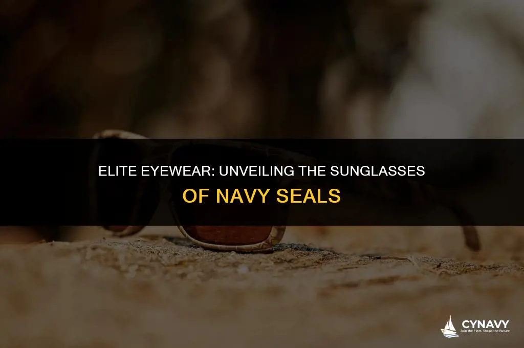 what sunglasses do navy seals wear