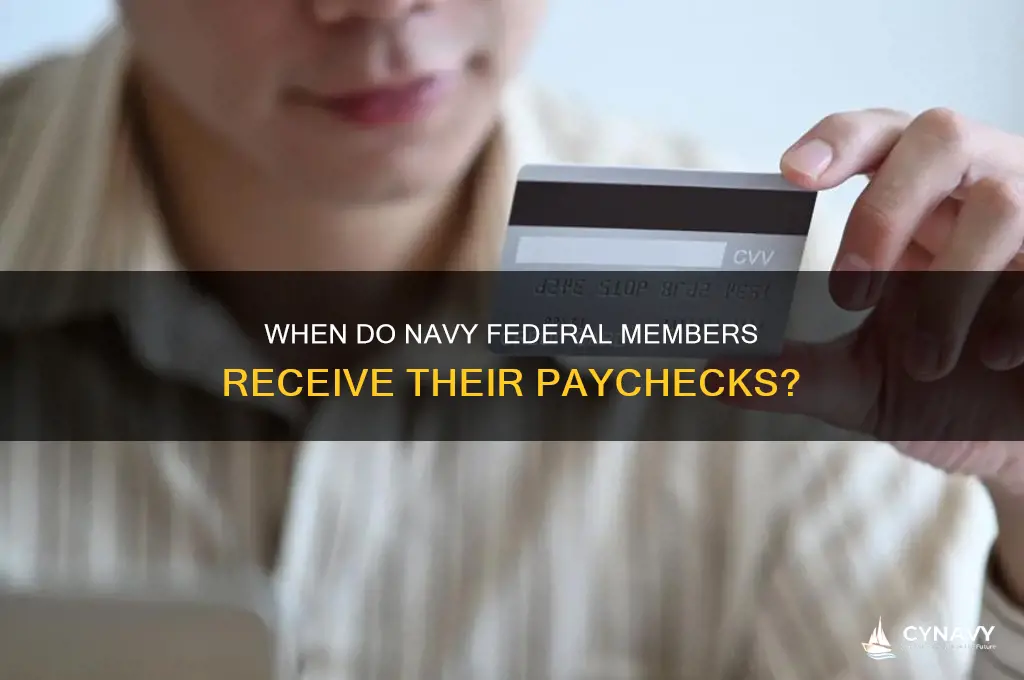 what time do navy federal members get paid