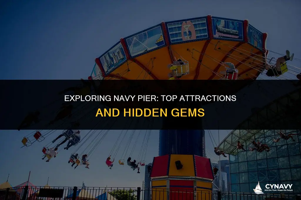 what to do at navy pier