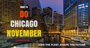 Exploring Chicago: A Weekend Guide for November Adventures