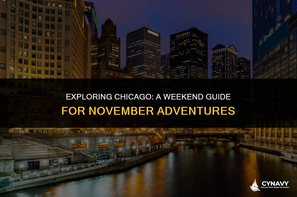 what to do chicago november