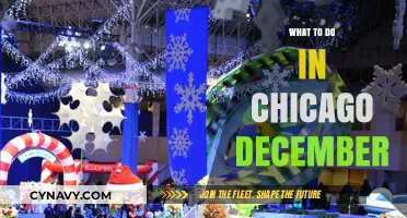 Winter Wonders: Exploring Chicago's Festive Scene in December