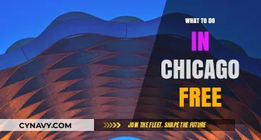 Exploring Chicago on a Budget: Free Activities and Attractions