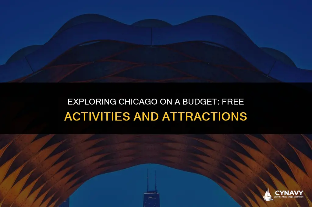 what to do in chicago free