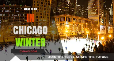 Exploring Chicago's Winter Wonderland: Top Activities and Attractions