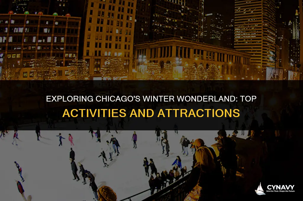 what to do in chicago winter