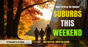 Exciting Weekend Activities to Explore in Chicago's Suburbs