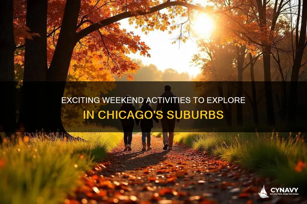 what to do in the chicago suburbs this weekend