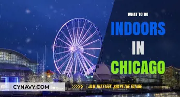 Exploring Chicago Indoors: Top Activities and Attractions