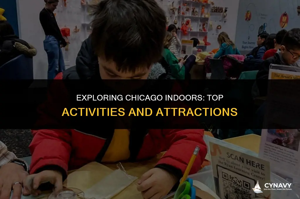 what to do indoors in chicago