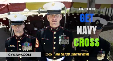 Earning the Navy Cross: Heroic Actions and Extraordinary Valor Explained