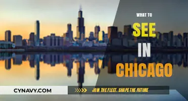 Exploring Chicago: Unmissable Attractions and Hidden Gems