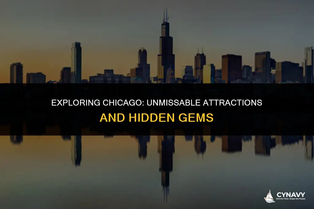 what to see in chicago