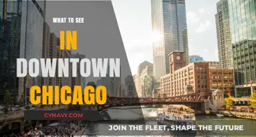 Exploring Downtown Chicago: Unmissable Attractions and Hidden Gems