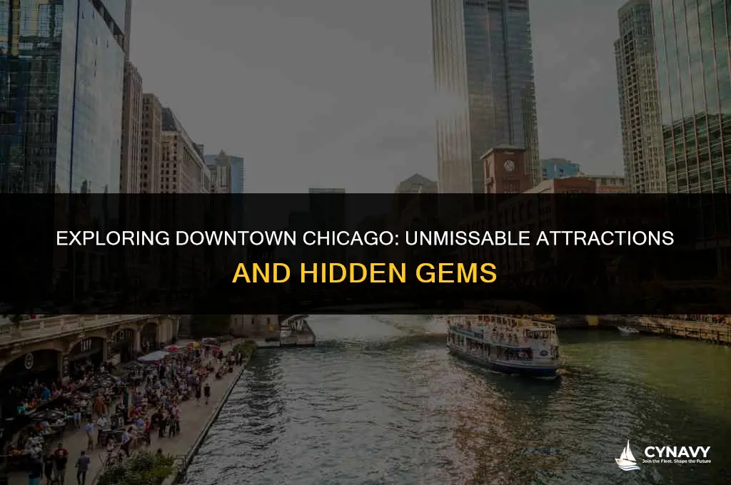 what to see in downtown chicago
