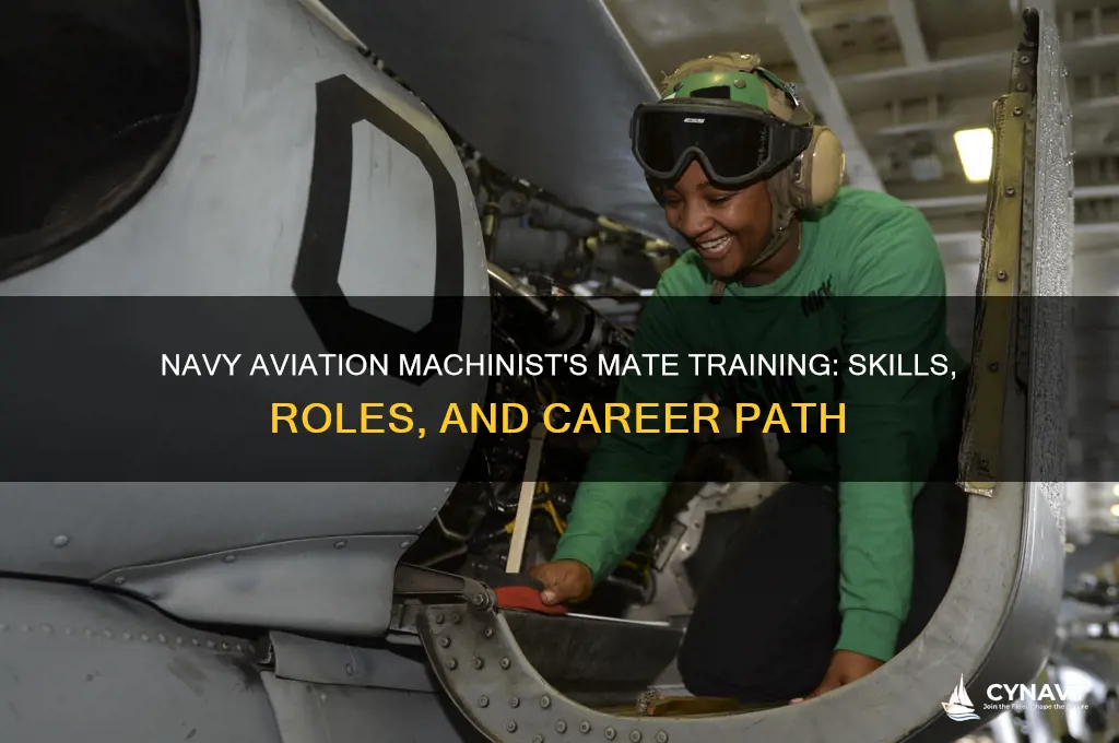 what type of training does an am get in navy