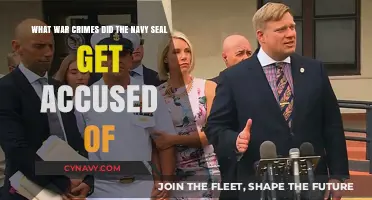 Navy SEAL War Crimes: Accusations and Alleged Atrocities Unveiled