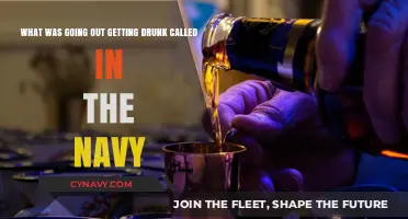 Navy Slang for Getting Drunk: The Forgotten Term for Shore Leave Shenanigans