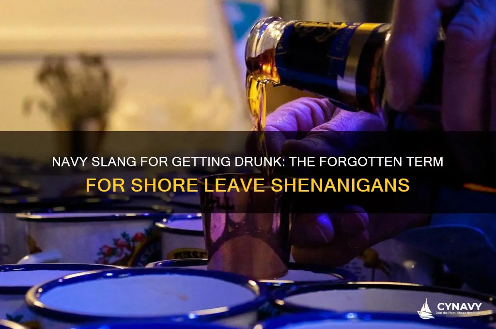 what was going out getting drunk called in the navy